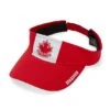 Gongshow Nucks Visey Visor -Bauer Sale Store HS20 M32 Nucks Visey 01 555x 67f73907 aebc 40e4 9952 99d9d04970e8